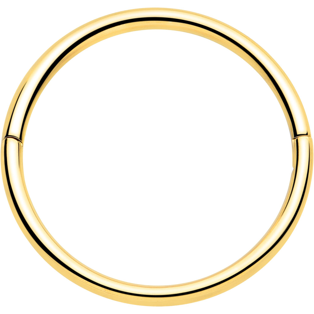 Anillo de segmento articulado de medio cierre de titanio de grado de implante de 20G